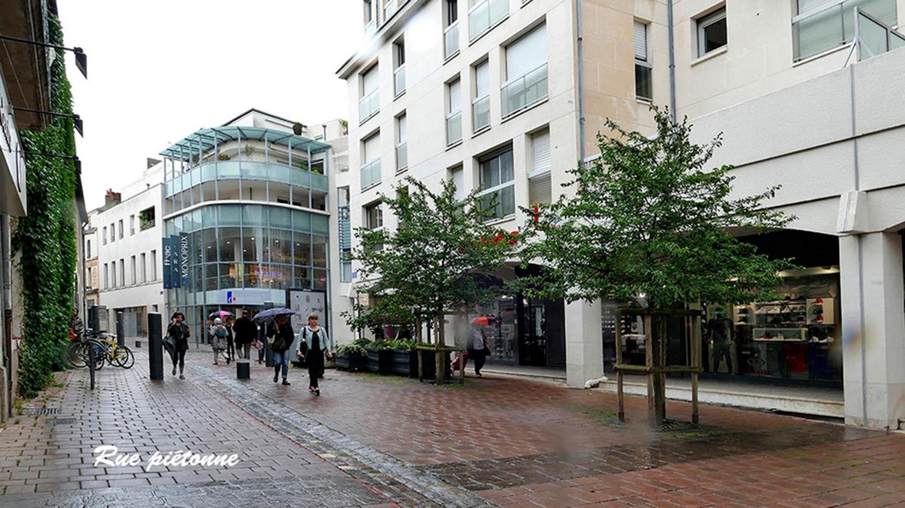 Les Jardins Du Clain Apartment Poitiers Bagian luar foto